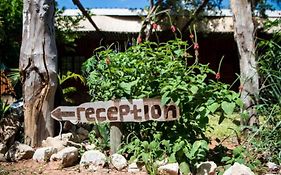 Nxabii Cottages