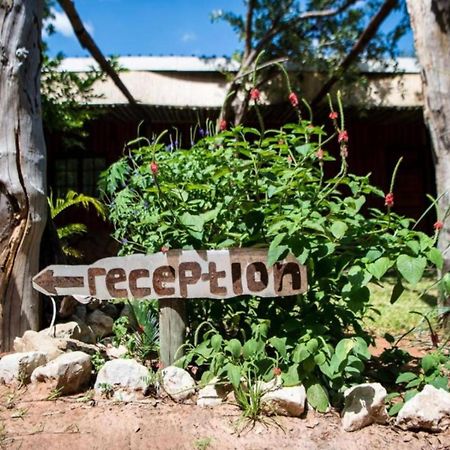 Nxabii Cottages Kasane Extérieur photo