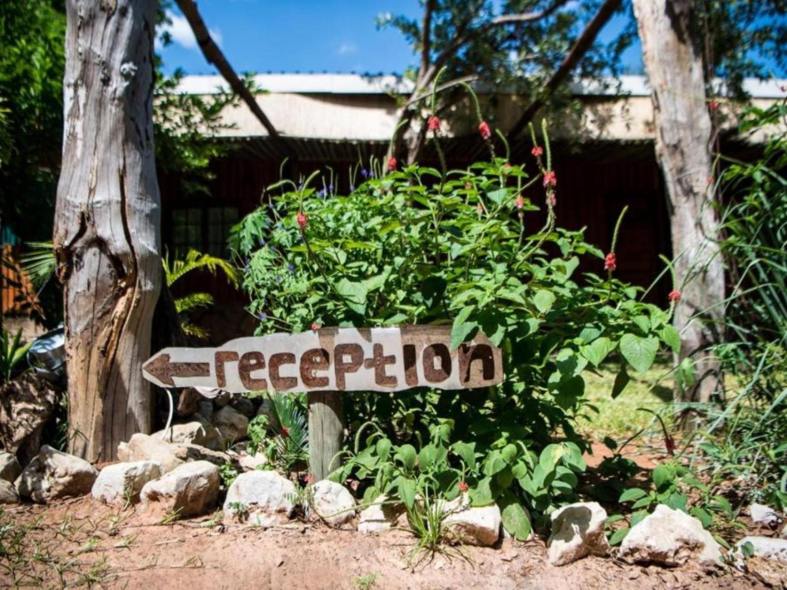 Nxabii Cottages Kasane Extérieur photo